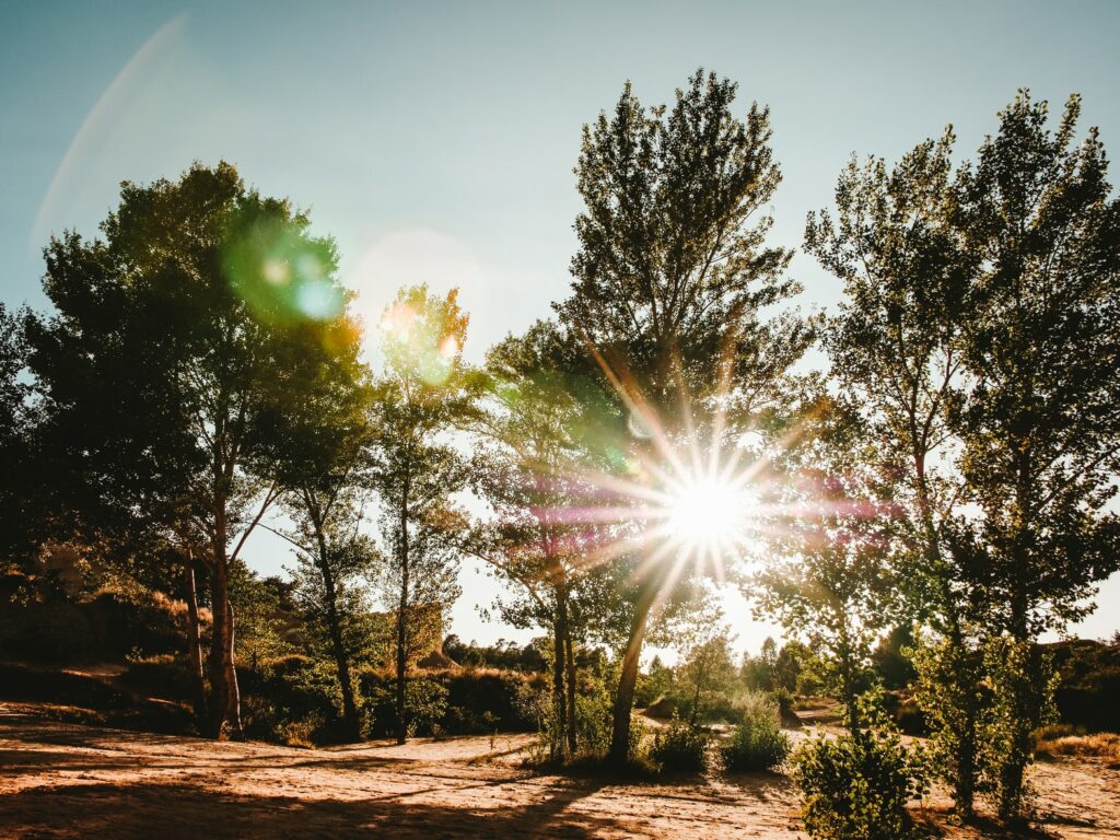Arbres et nature dans le colorado provençal