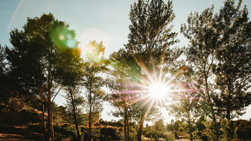 Arbres et nature dans le colorado provençal