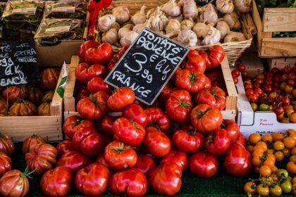 Tomates pour plats provençaux